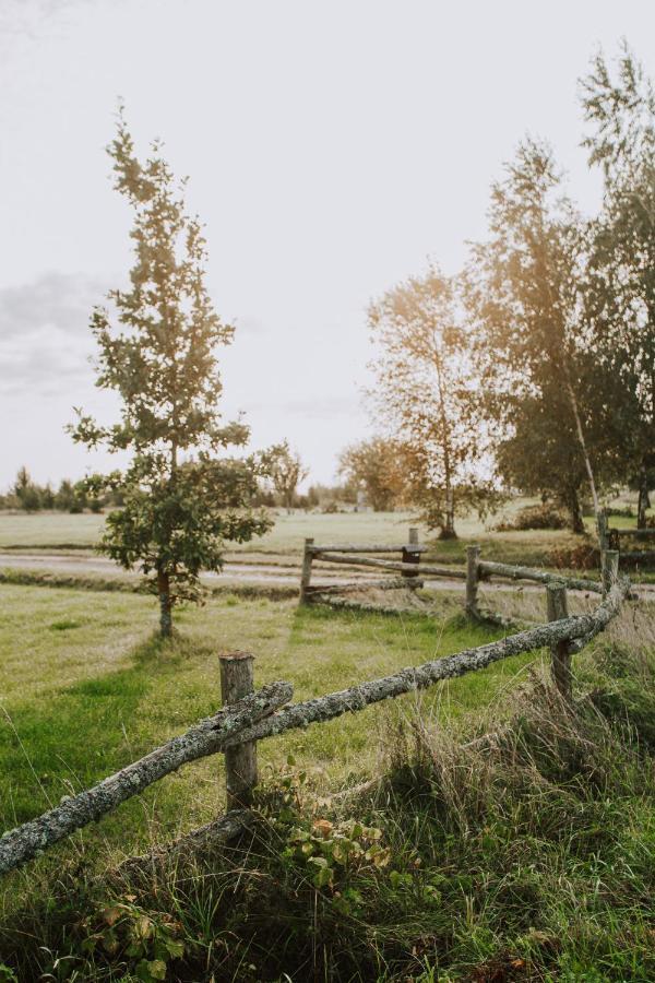 Durbes Atvari - Brivdienu Majas Ar Saunu Esterno foto